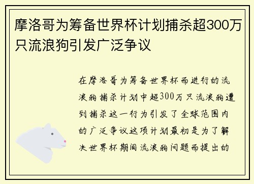 摩洛哥为筹备世界杯计划捕杀超300万只流浪狗引发广泛争议